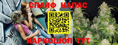 молекула духа Заволжье