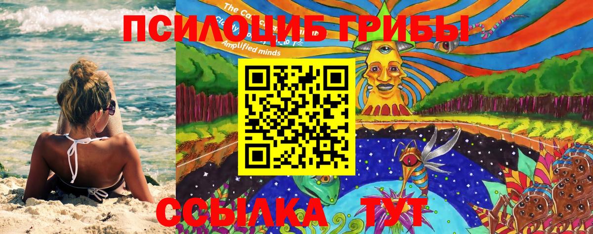 Зима  Псилоцибиновые грибы MAGIC MUSHROOMS  Вход с VPN  купить   Псилоцибиновые грибы GOLDEN TEACHER 